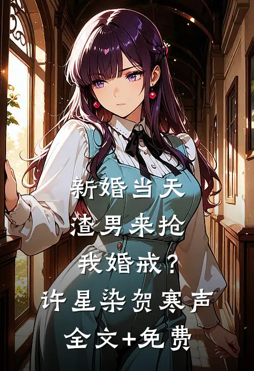 新婚当天，渣男来抢我婚戒？许星染贺寒声全文+免费