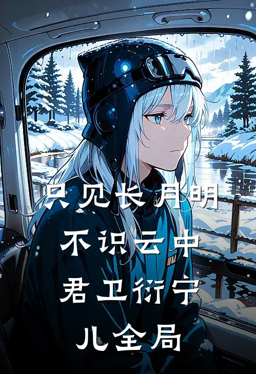 只见长月明，不识云中君卫衍宁儿全局