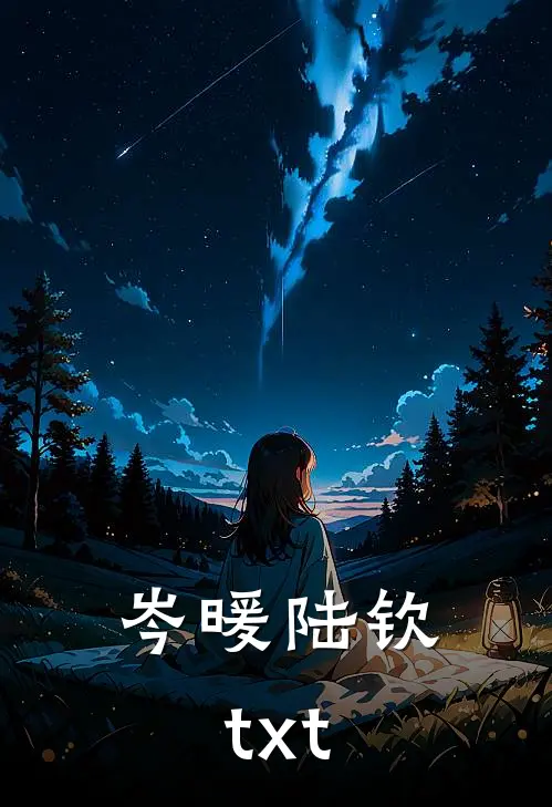 岑暖陆钦txt