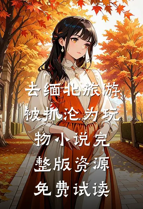 去缅北旅游被抓沦为玩物小说完整版资源免费试读