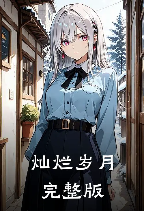 灿烂岁月完整版
