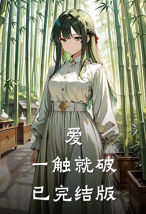 爱，一触就破已完结版
