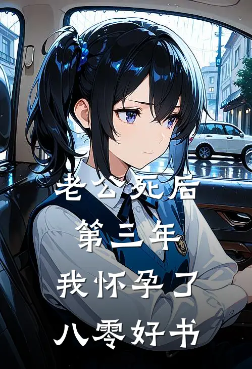 老公死后第三年，我怀孕了八零好书