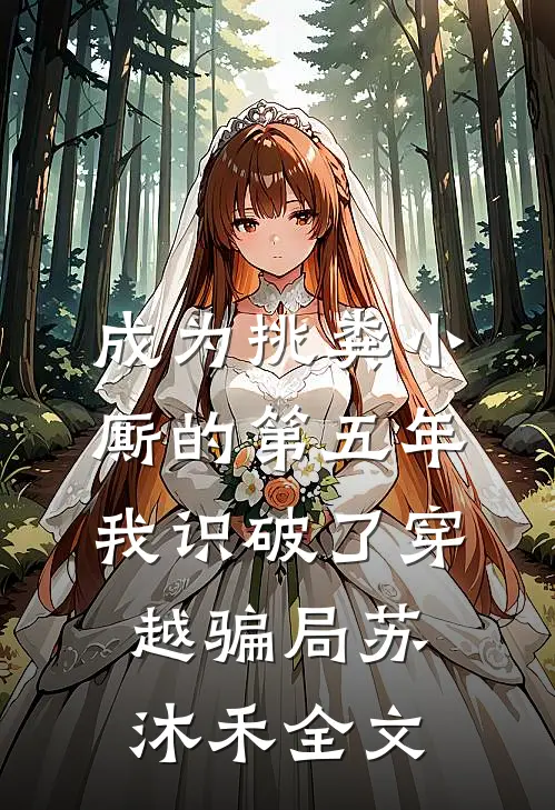 成为挑粪小厮的第五年，我识破了穿越骗局苏沐禾全文