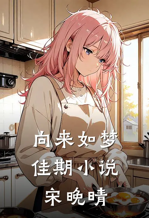 向来如梦佳期小说宋晚晴
