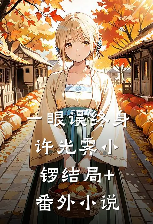 一眼误终身许光霁小锣结局+番外小说