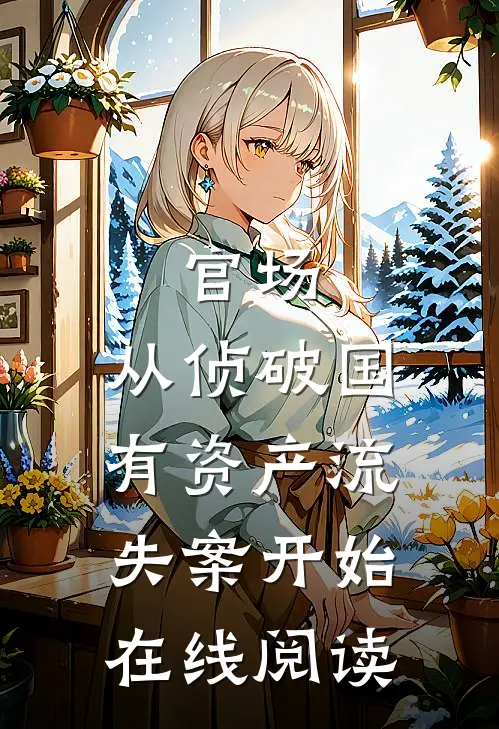 官场：从侦破国有资产流失案开始在线阅读