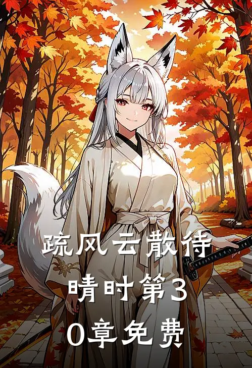 疏风云散待晴时第30章免费