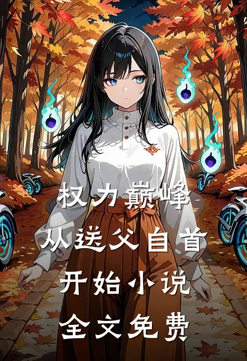 权力巅峰：从送父自首开始小说全文免费