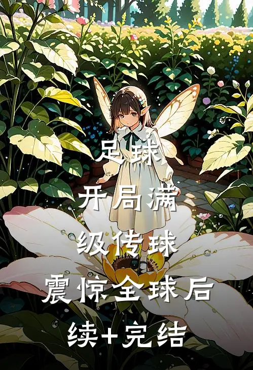 足球：开局满级传球，震惊全球后续+完结