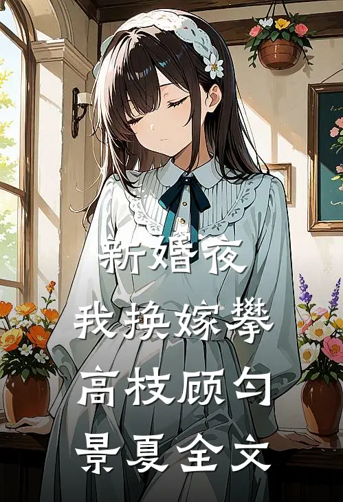 新婚夜，我换嫁攀高枝顾匀景夏全文