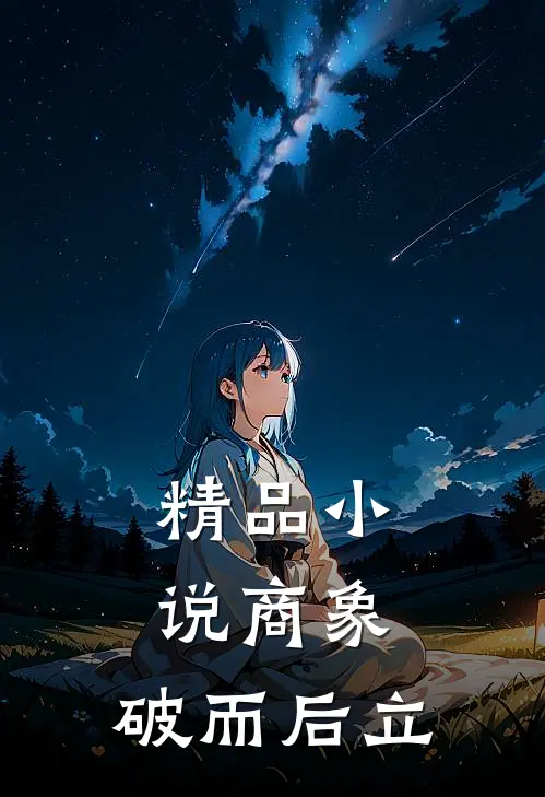 精品小说商象：破而后立