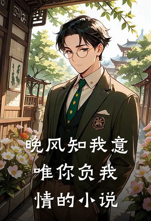 晚风知我意，唯你负我情的小说