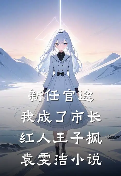 新任官途，我成了市长红人王子枫袁雯洁小说