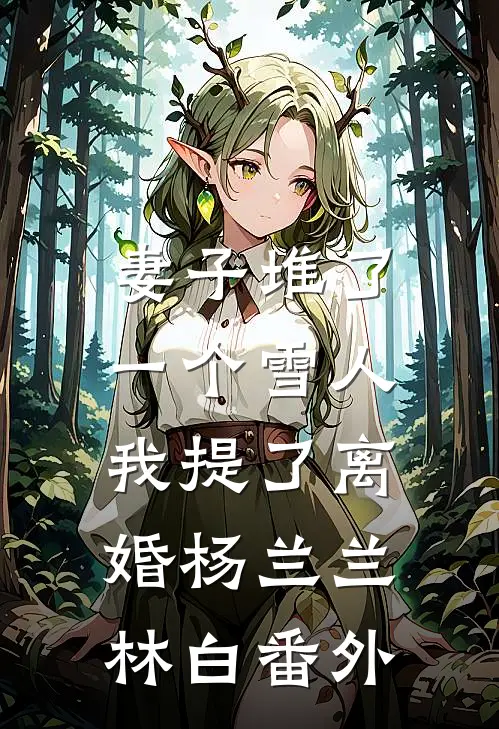 妻子堆了一个雪人，我提了离婚杨兰兰林白番外