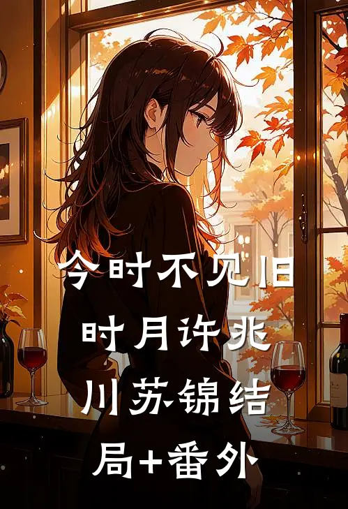 今时不见旧时月许兆川苏锦结局+番外