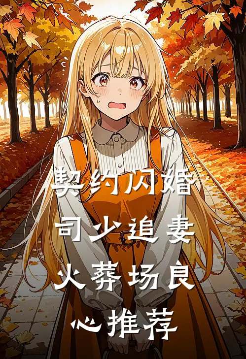 契约闪婚：司少追妻火葬场良心推荐