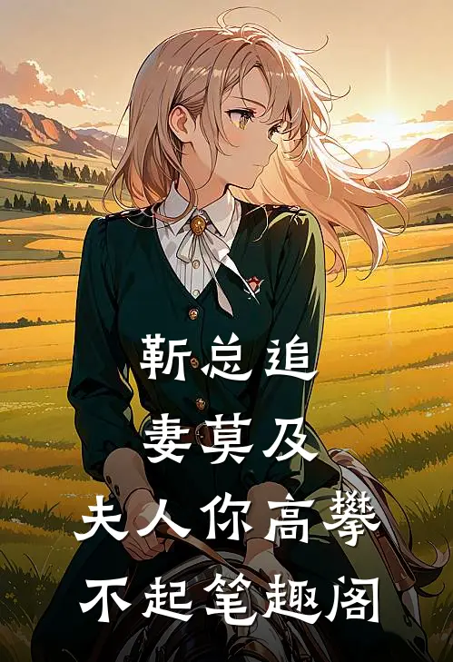 靳总追妻莫及，夫人你高攀不起笔趣阁
