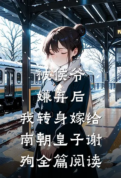 被侯爷嫌弃后，我转身嫁给南朝皇子谢殉全篇阅读