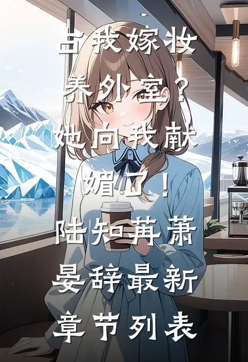 占我嫁妆养外室？她向我献媚了！陆知苒萧晏辞最新章节列表