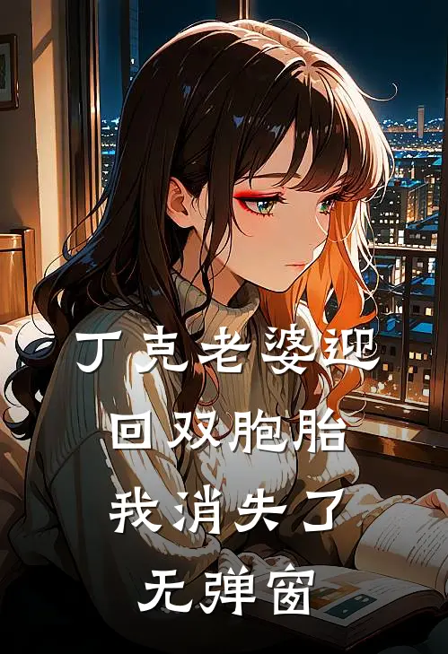 丁克老婆迎回双胞胎，我消失了无弹窗