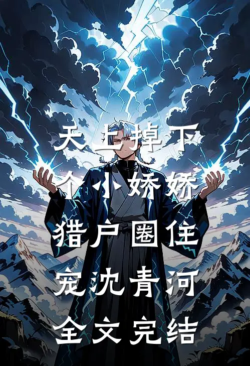 天上掉下个小娇娇，猎户圈住宠沈青河全文完结