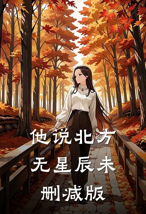 他说北方无星辰未删减版