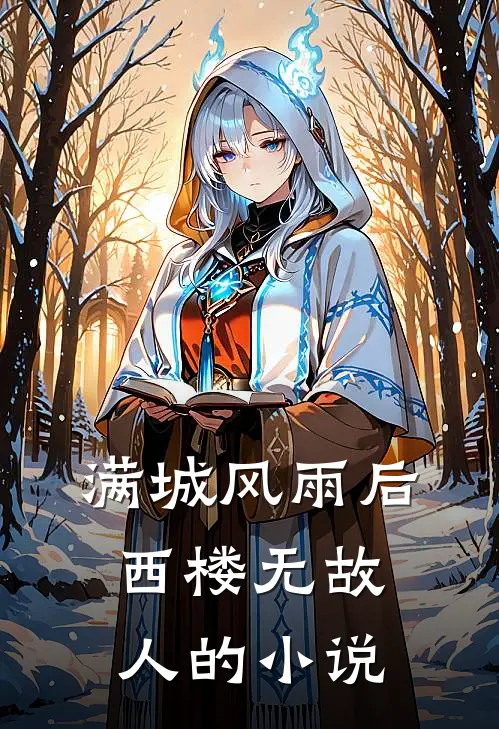满城风雨后，西楼无故人的小说