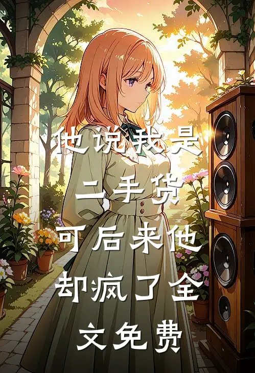 他说我是二手货，可后来他却疯了全文免费