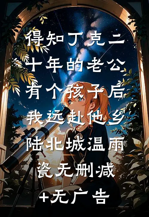 得知丁克二十年的老公有个孩子后，我远赴他乡陆北城温雨瓷无删减+无广告