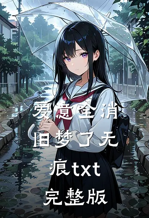 爱意全消，旧梦了无痕txt完整版