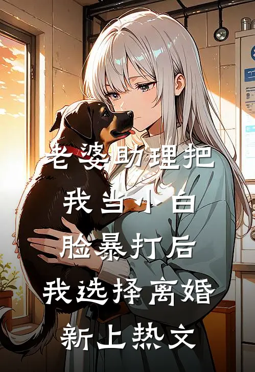 老婆助理把我当小白脸暴打后，我选择离婚新上热文
