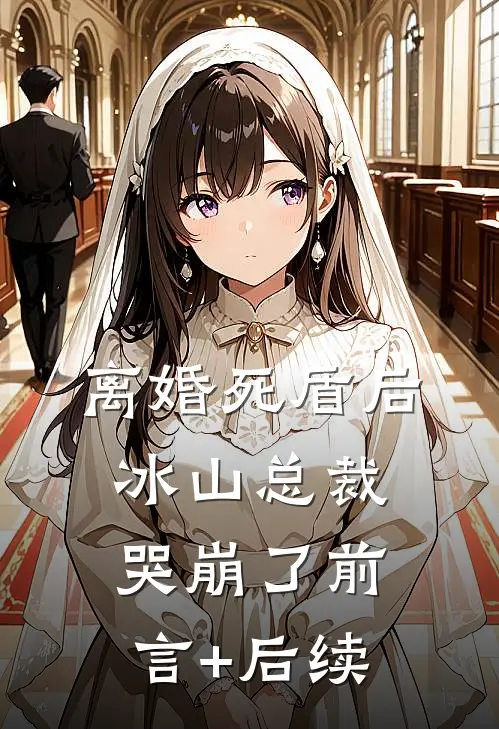 离婚死盾后，冰山总裁哭崩了前言+后续