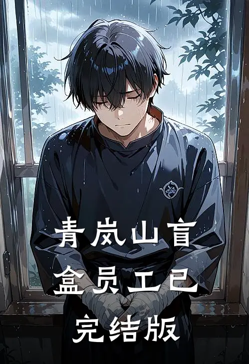 青岚山盲盒员工已完结版