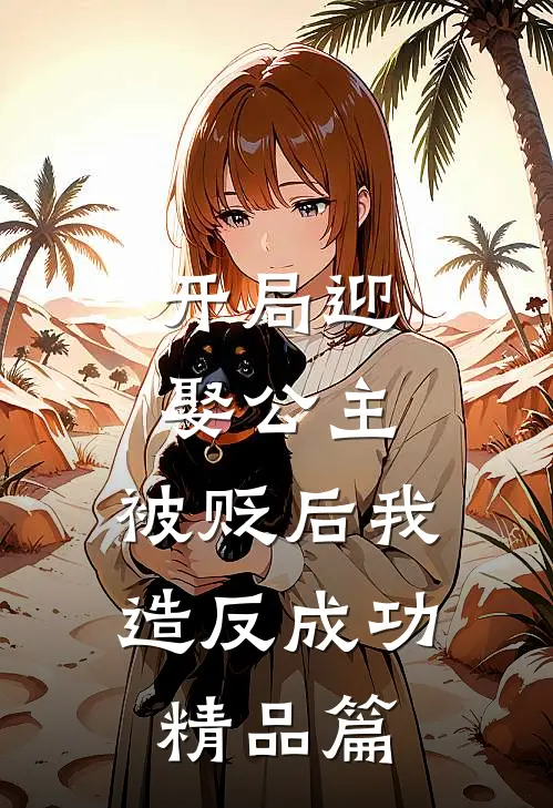 开局迎娶公主，被贬后我造反成功精品篇