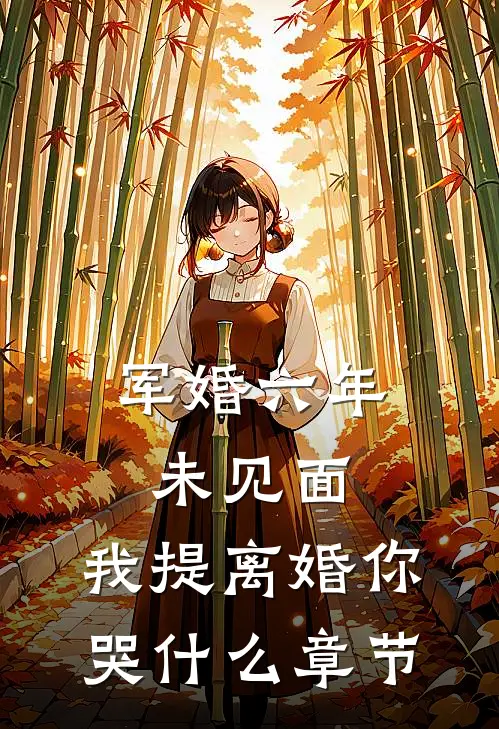 军婚六年未见面，我提离婚你哭什么章节