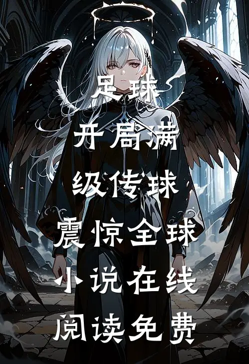 足球：开局满级传球，震惊全球小说在线阅读免费