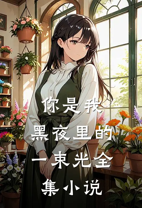 你是我，黑夜里的一束光全集小说