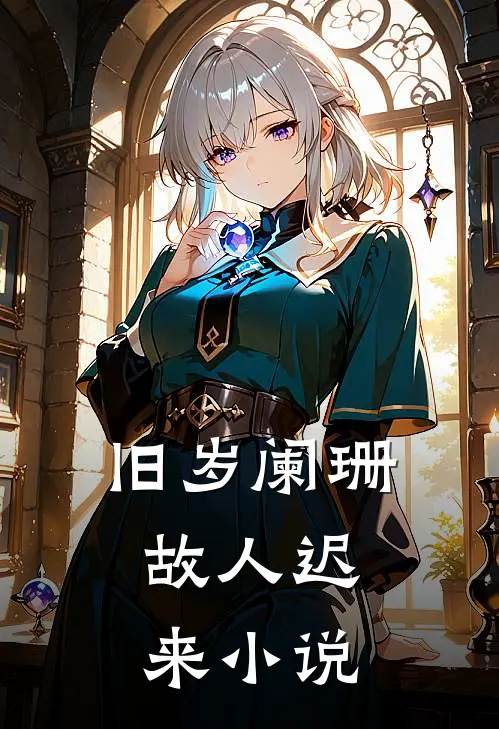 旧岁阑珊，故人迟来小说