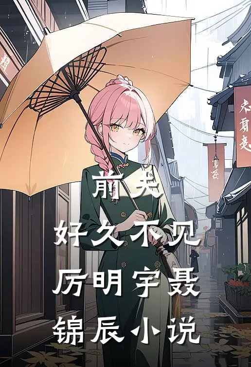 前夫，好久不见厉明宇聂锦辰小说