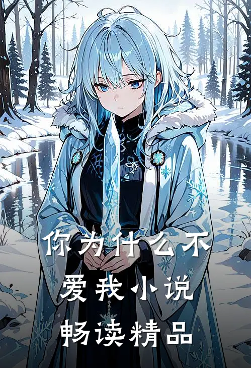你为什么不爱我小说畅读精品