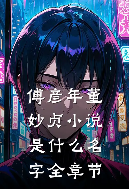 傅彦年董妙贞小说是什么名字全章节