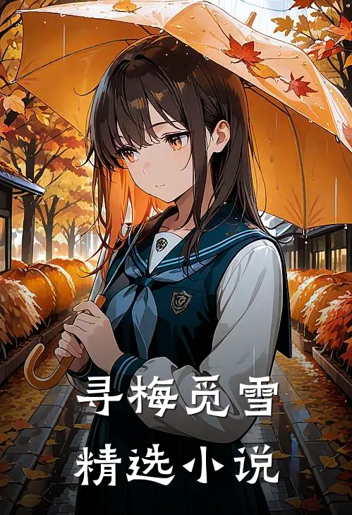 寻梅觅雪精选小说