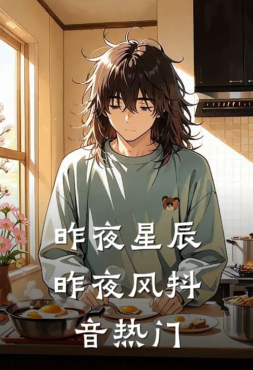 昨夜星辰昨夜风抖音热门