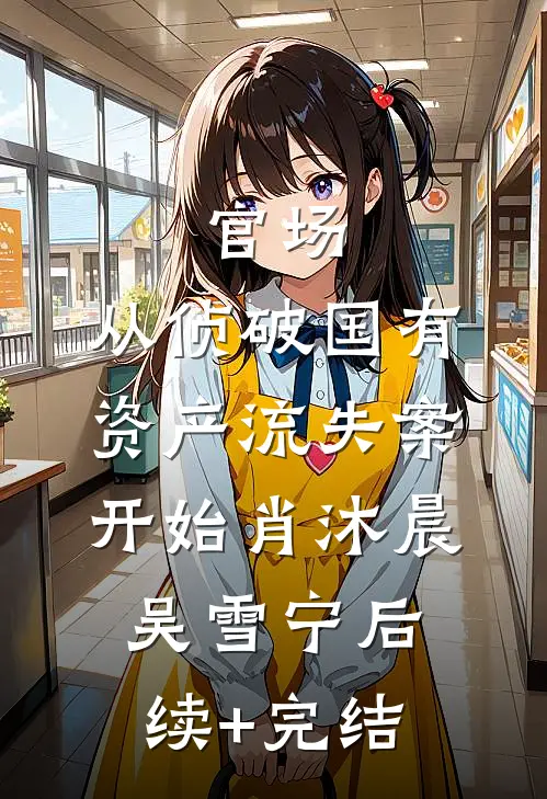 官场：从侦破国有资产流失案开始肖沐晨吴雪宁后续+完结