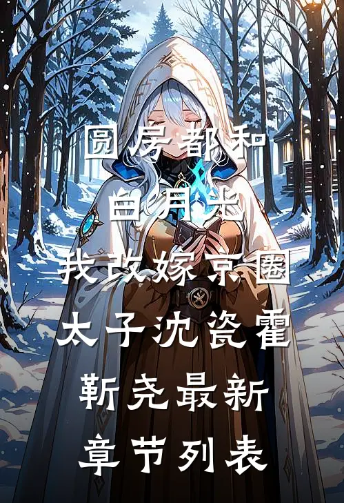 圆房都和白月光，我改嫁京圈太子沈瓷霍靳尧最新章节列表