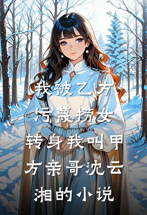 我被乙方污蔑捞女，转身我叫甲方亲哥沈云湘的小说