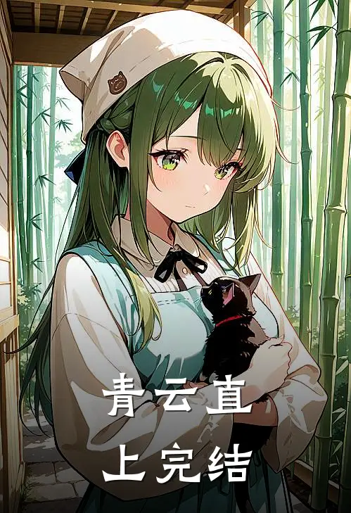 青云直上完结
