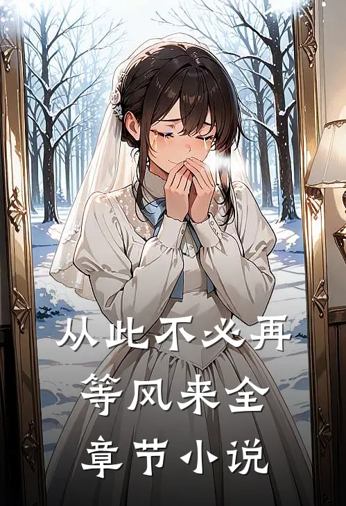从此不必再等风来全章节小说