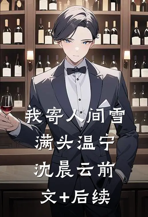 我寄人间雪满头温宁沈晨云前文+后续